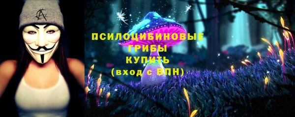 экстази Михайлов