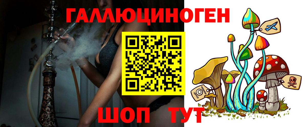 Псилоцибиновые грибы GOLDEN TEACHER Зима