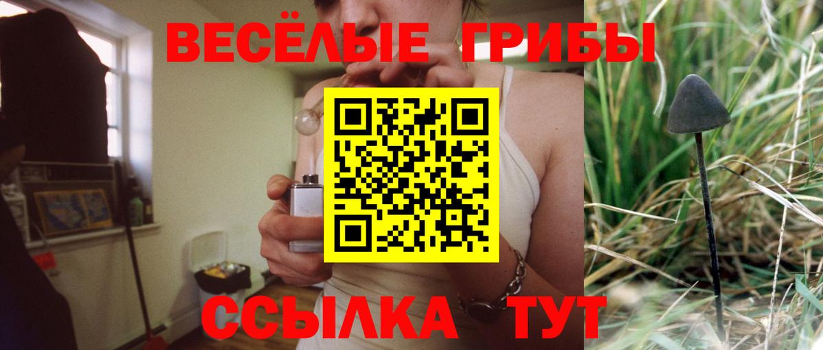 Псилоцибиновые грибы мицелий  Зима  Псилоцибиновые грибы мухоморы 