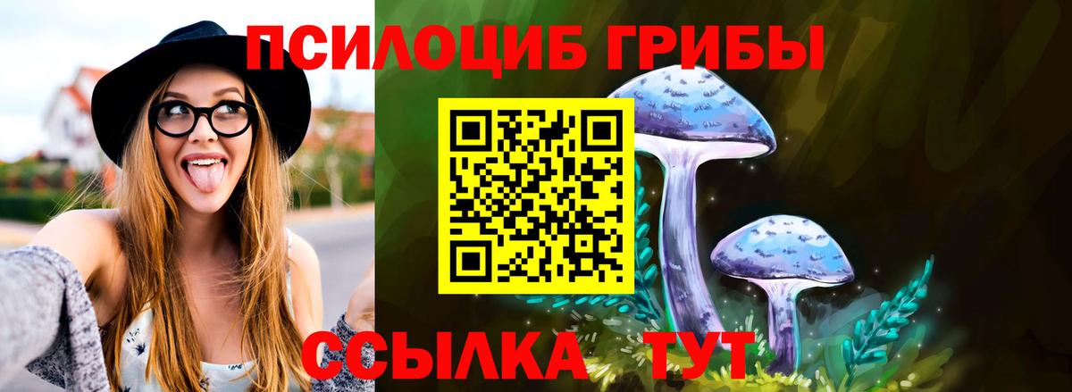 Галлюциногенные грибы GOLDEN TEACHER  Вход с VPN  Псилоцибиновые грибы мицелий  Зима 